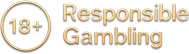 Safe and responsible gambling 18+ at Spinpolo.